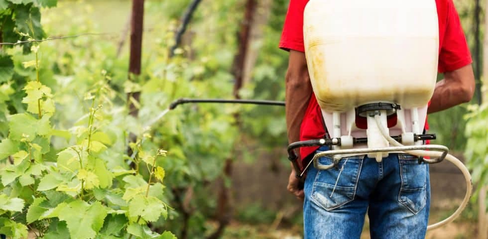 homem regando plantas agrotóxicos