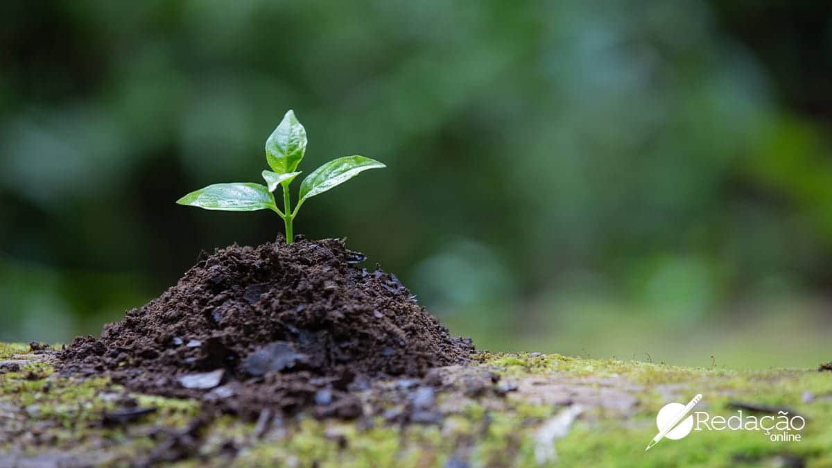 A importância do turismo sustentável para a preservação ambiental e cultural