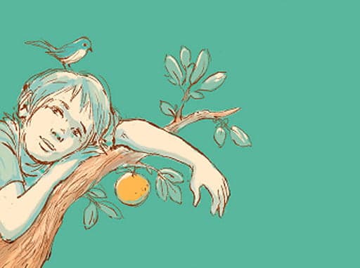 como usar o meu pé de laranja lima