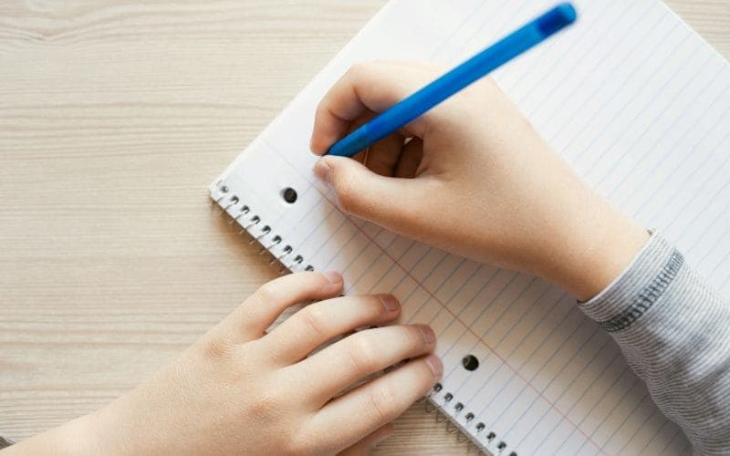 modelo e estrutura de redação