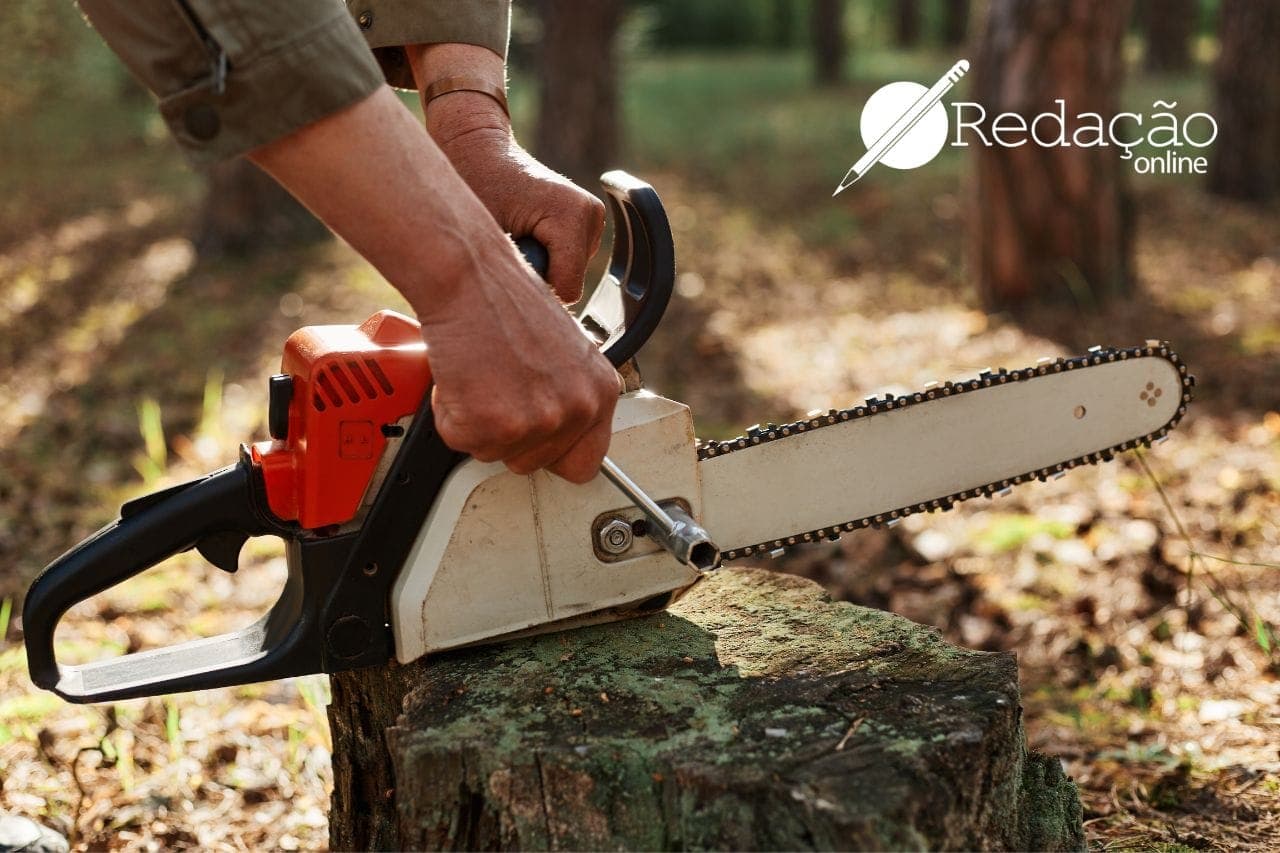 homem desmatando floresta