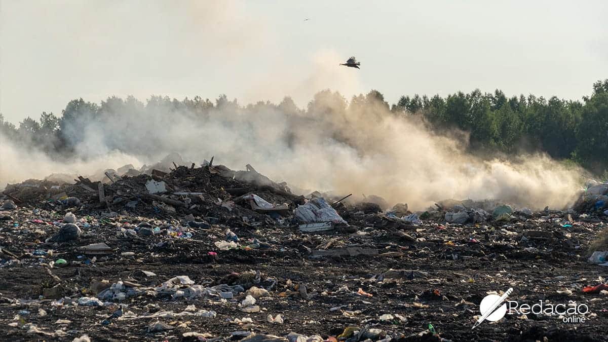 Consequências dos desastres ambientais na sociedade