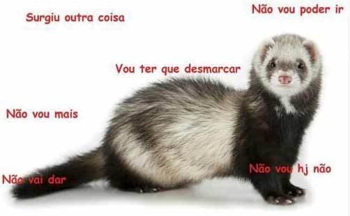 O que esses 9 memes tem a ver com a gramática?