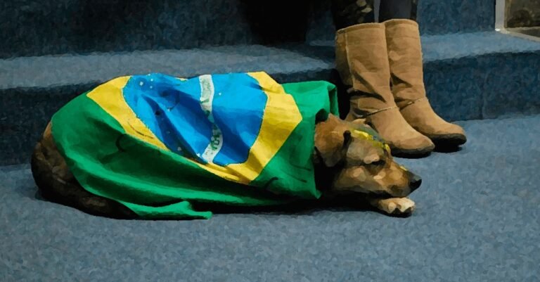 cachorro vira-lata enrolado na bandeira do brasil