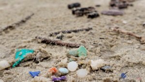 Microplásticos nos oceanos: um desafio invisível