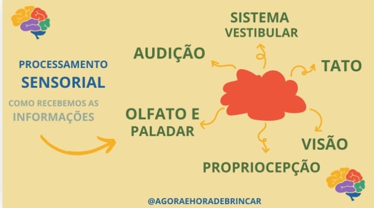problemas sensoriais na infância
